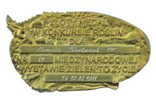 Złoty Medal dla Clematisu 'Krakowiak' PBR