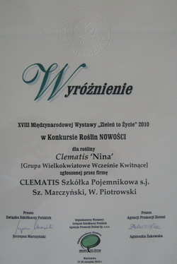 Clematis ‘Nina’ – wyróżnienie