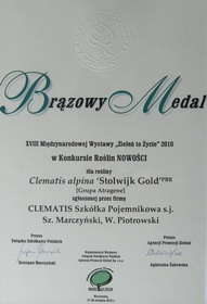 Клематис ‘Stolwijk Gold’ PBR получил бронзовую медаль