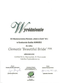Wyróżnienie dla Clematisu 'Beautiful Bridge' PBR