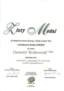 Złoty Medal dla Clematisu 'Krakowiak' PBR
