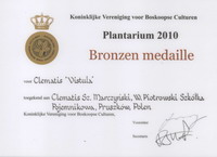 Bronze medal to the Clematis ‘Vistula’