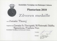 Wyroznienia Plantarium srebrny medal Clematis Mazury